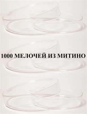 Стеклянные чашки Петри 90х18 мм - 3 шт glasspetri-90х18-3pcs - фото 4842